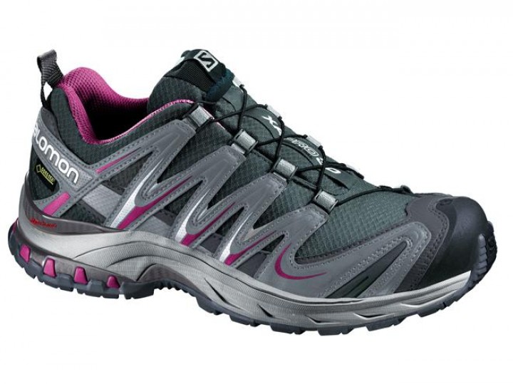 Salomon XA Pro 3D GTX W